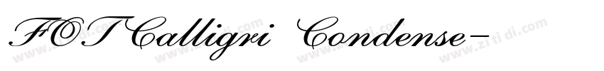 FOTCalligri Condense字体转换